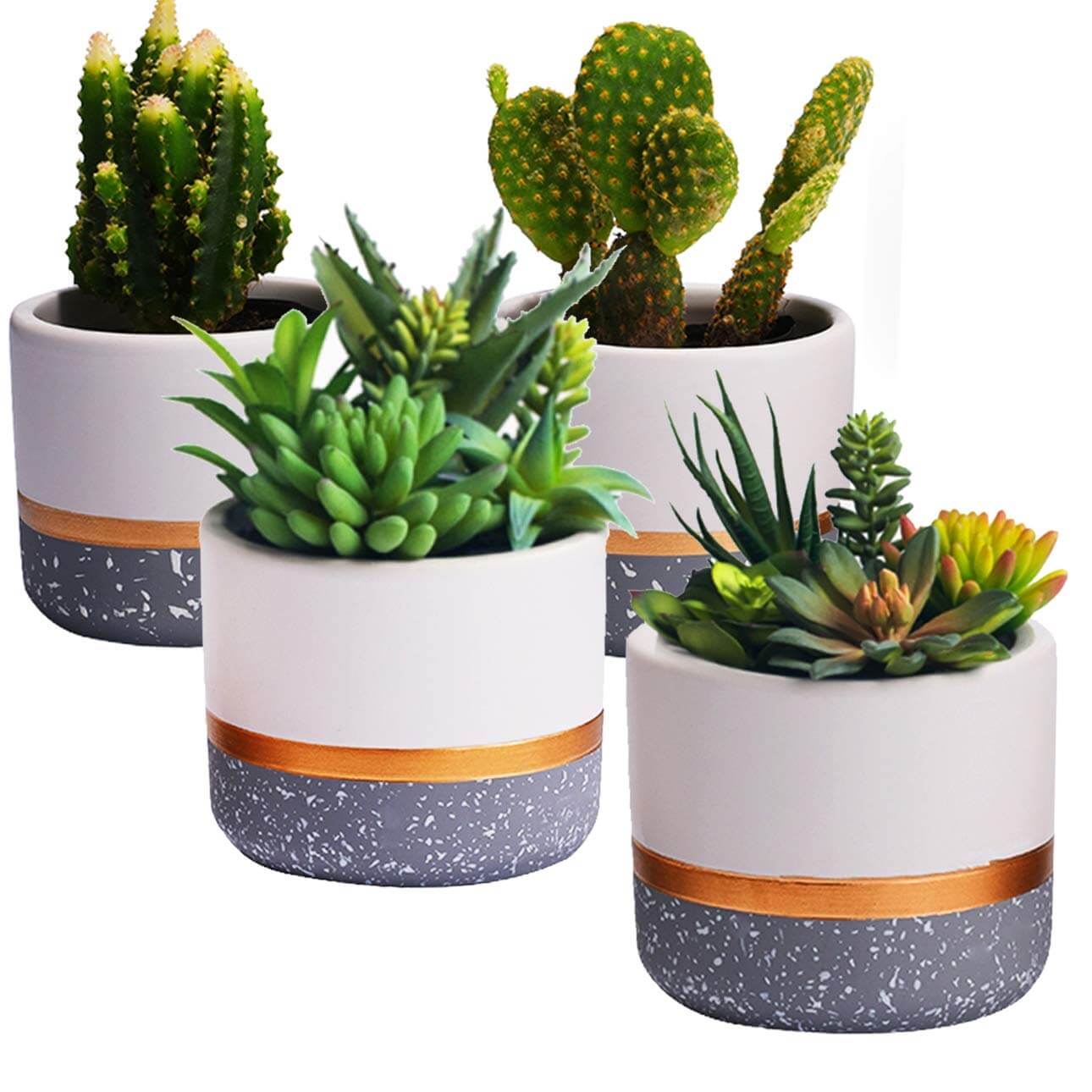 Small Plant Pots Indoor